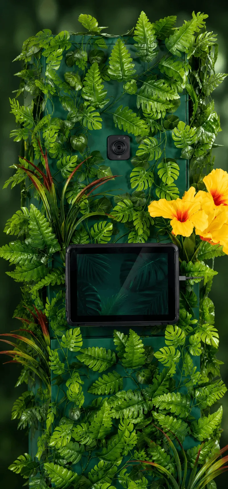 Détail de l'écran tactile du Jungleboot, entouré de feuillage tropical et d'hibiscus